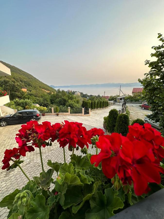 Villa Stefanoski Konjsko Zewnętrze zdjęcie